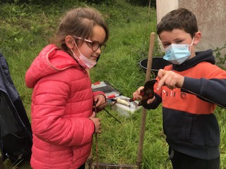 Travail au potager