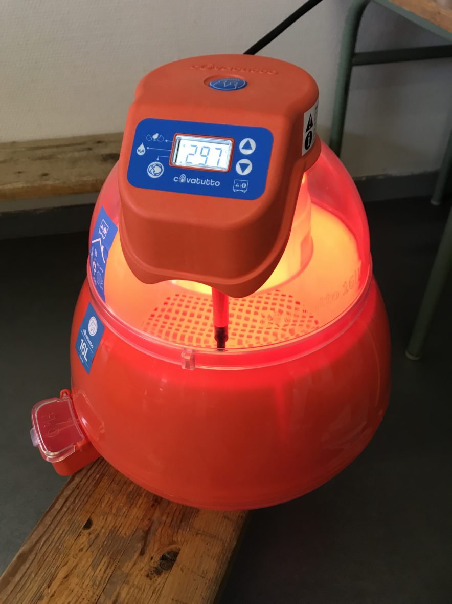 Notre petit élevage