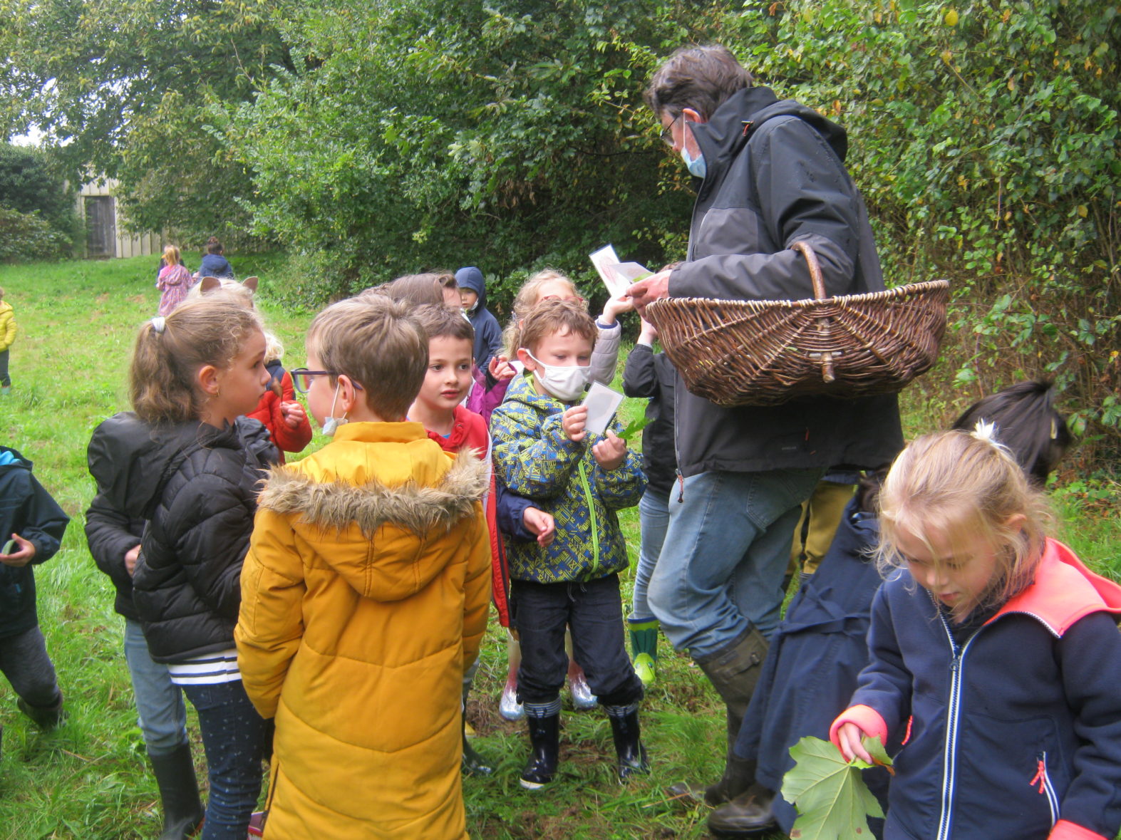 sortie d’automne