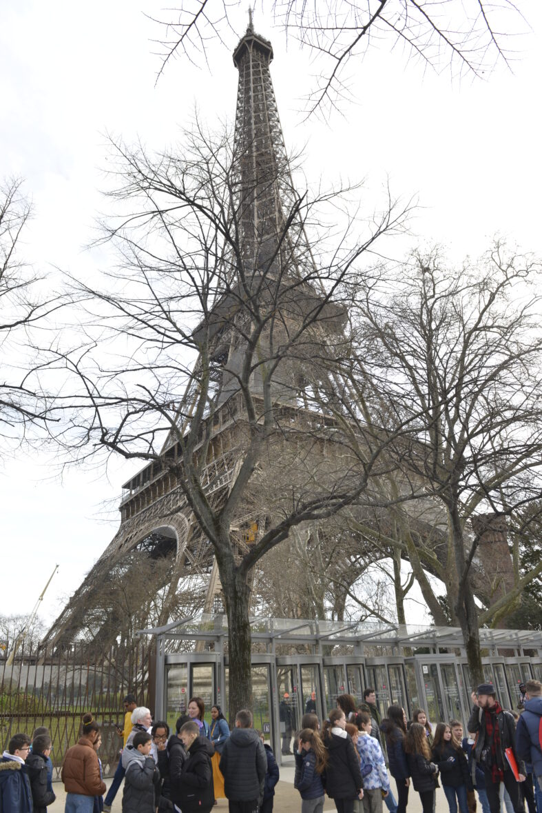 Madame la Tour Eiffel