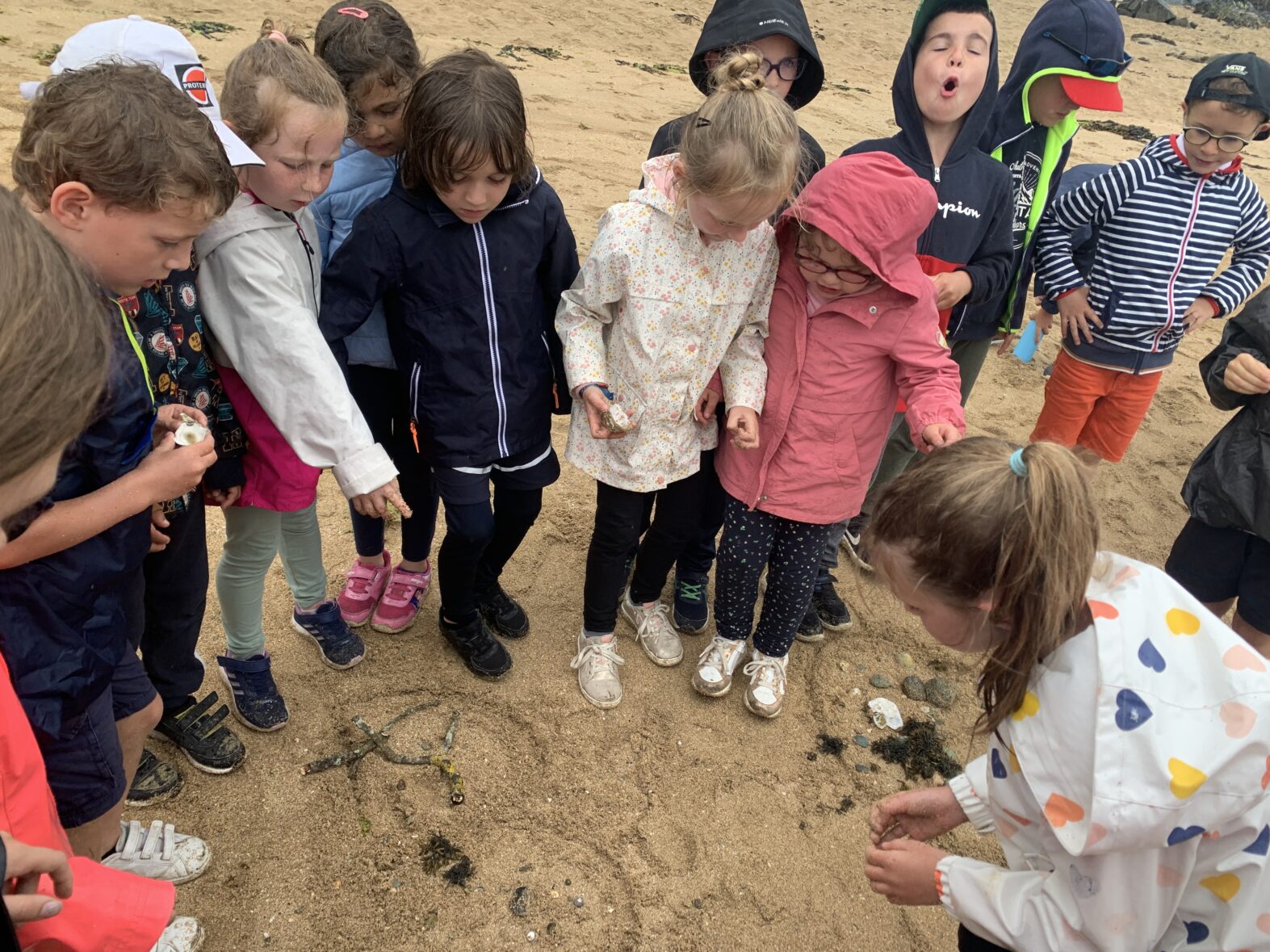 Notre séjour à Paimpol: 2ème jour