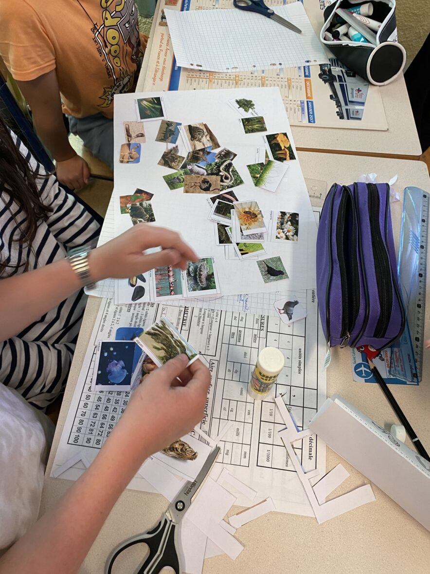 Séance de sciences en CM2B