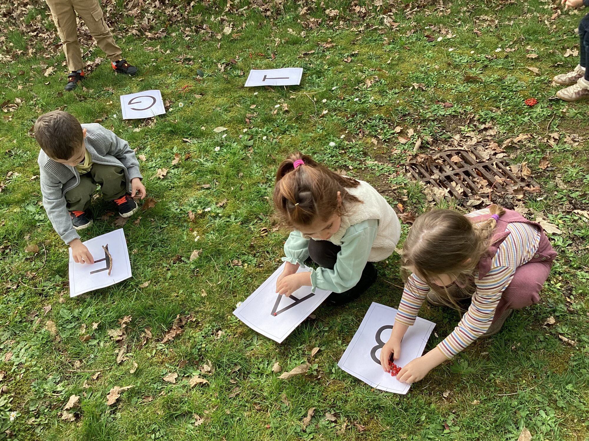 L alphabet de la nature