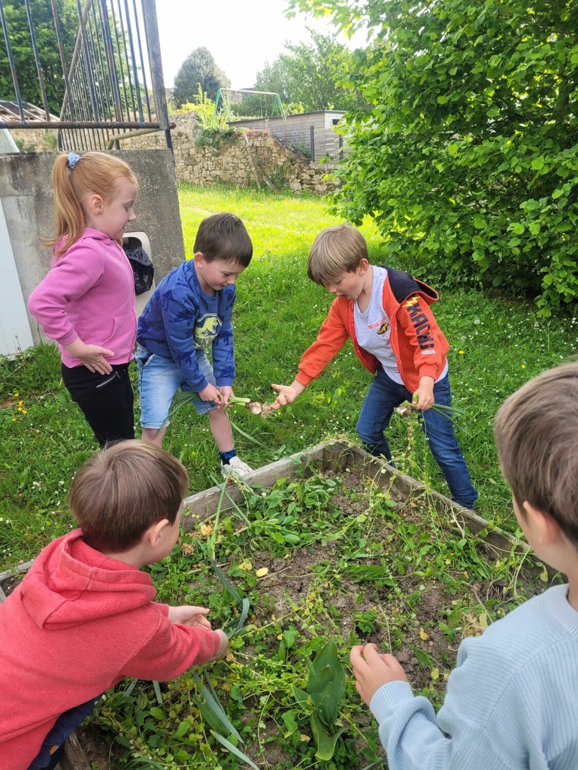 Ar jardin a-hed ar bloavezh / Le jardin au long de l’année