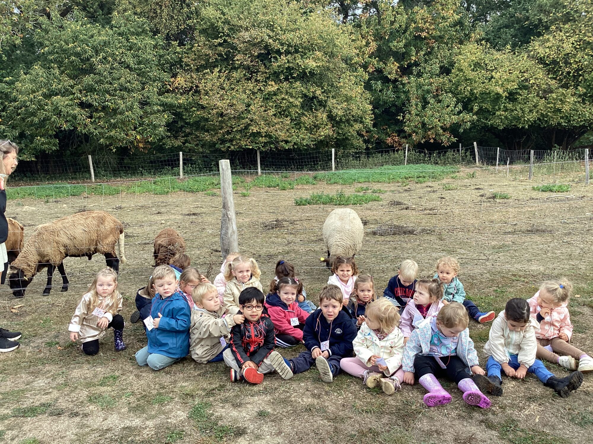 Les TPS- Ps ā la ferme. Résumé de la sortie